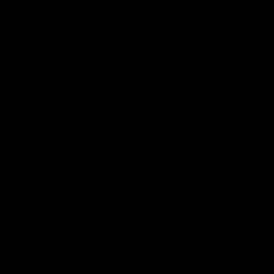 Meet your Posher, Mason